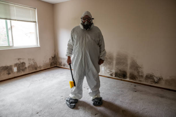 Certified Mold Removal in Hartsdale, NY